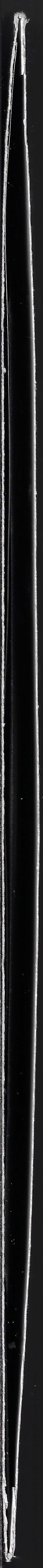 LP Phobophilic: Enveloping Absurdity CLR | LTD