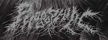 LP Phobophilic: Enveloping Absurdity CLR | LTD