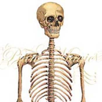 Album Piano Magic: Open Cast Heart EP