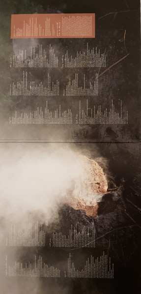 LP/CD Pianos Become The Teeth: Keep You