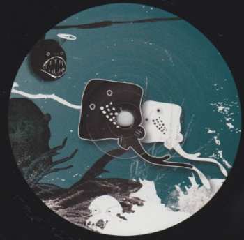 LP Piemont: Central Mouth