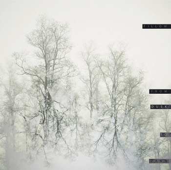 Album Pillow: From Dusk To Dawn