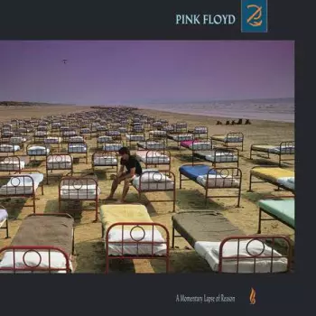 Álbum Pink Floyd: A Momentary Lapse Of Reason
