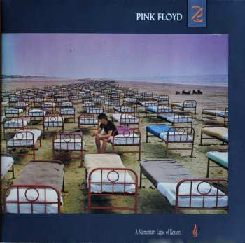 LP Pink Floyd: A Momentary Lapse Of Reason
