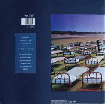LP Pink Floyd: A Momentary Lapse Of Reason