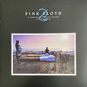2LP Pink Floyd: A Momentary Lapse Of Reason (Remixed & Updated)