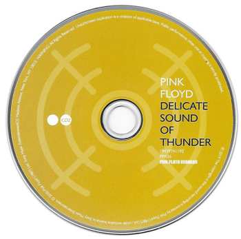 2CD Pink Floyd: Delicate Sound Of Thunder DIGI