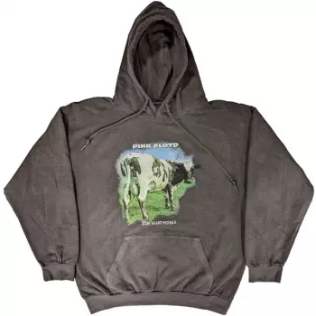 Sudadera Atom Heart Mother Fade