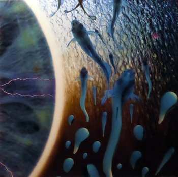 4LP/Caja Pink Floyd: Pulse