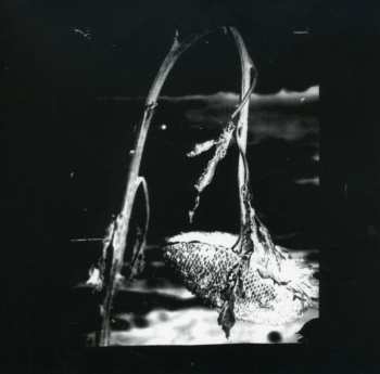 CD Pink Reason: Cleaning The Mirror