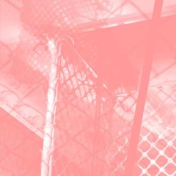 Album Pinkcourtesyphone: All Intensive Purposes