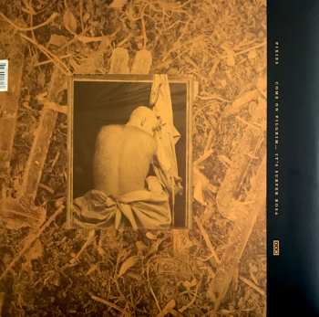3LP Pixies: Come On Pilgrim... It's Surfer Rosa CLR
