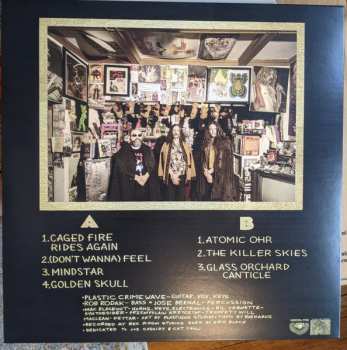 LP Plastic Crimewave Syndicate: Tales Of the Golden Skull