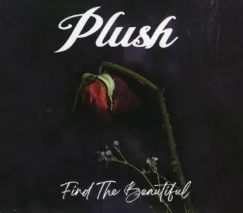 Plush: Find The Beautiful