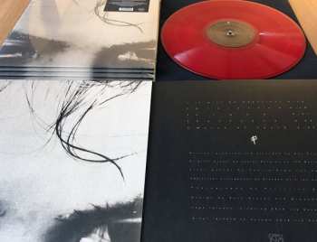 LP PLYXY: Gloryland CLR