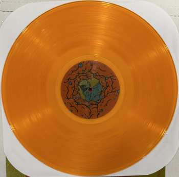 LP Polar Bear Club: Chasing Hamburg