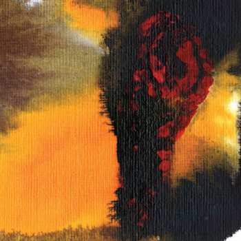 Album Polar Bear: Same As You