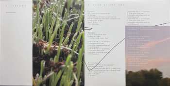 2LP Porter Robinson: Nurture CLR