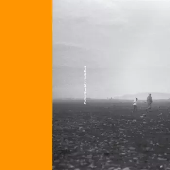 Portico Quartet: Portico Quartet / Hania Rani