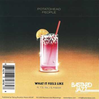 SP Illa J: What It Feels Like (Carrtoons Remix)