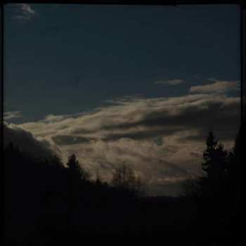 2LP Povarovo: Tchernovik LTD