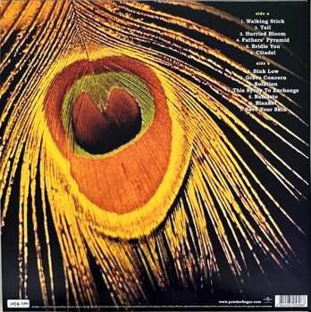 LP Powderfinger: Parables For Wooden Ears CLR | LTD | NUM