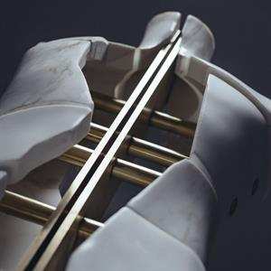 LP Prequel Tapes: The Golden Cage CLR