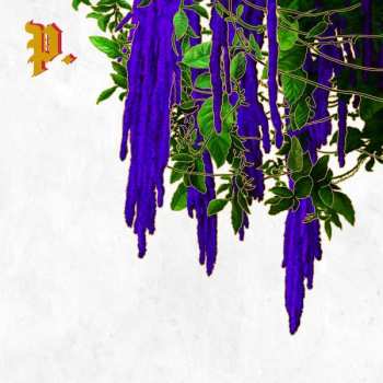 LP Proper.: The Great American Novel CLR