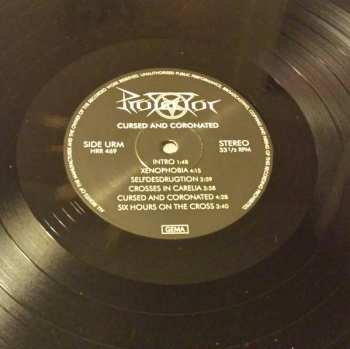 LP Protector: Cursed And Coronated LTD | CLR