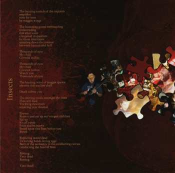 CD Psyopus: Our Puzzling Encounters Considered