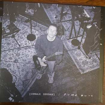 CD Puma Blue: Croak Dream