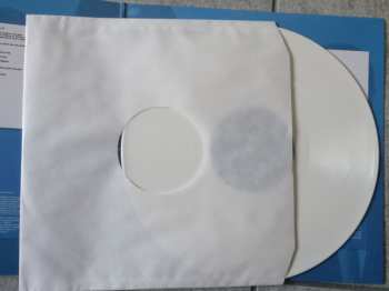 LP Punkreas: Falso CLR | LTD | NUM