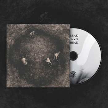 Album Pure Wrath: Bleak Days Ahead