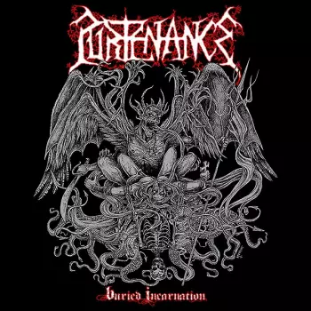 Buried Incarnation 