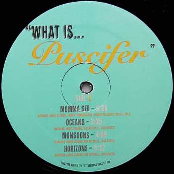 2LP Puscifer: What Is... Puscifer