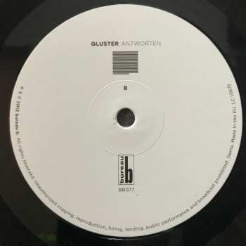 LP Qluster: Antworten
