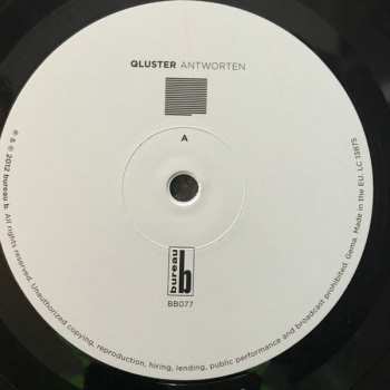 LP Qluster: Antworten