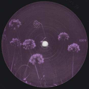 2LP Quantec: Unusual Signals