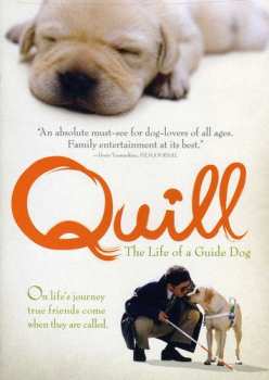DVD Quill: Quill