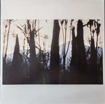 2LP Ragnar Johnson: Spirit Cry Flutes And Bamboo Jews Harps From Papua New Guinea : Eastern Highlands & Madang