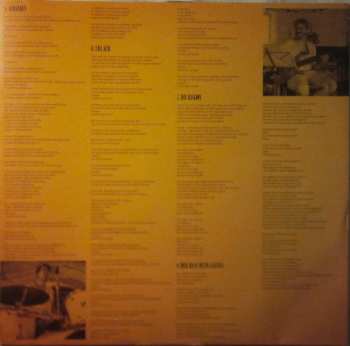 2LP Rainald Grebe: Albanien