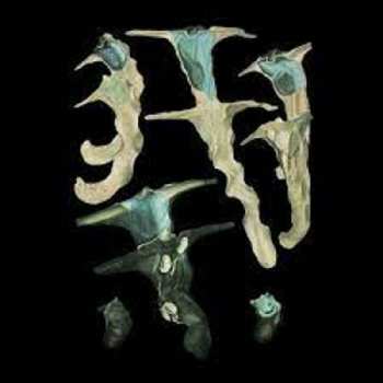 Album Rainforest Spiritual Enslavement: Jellyfish Reproduce Black Magic