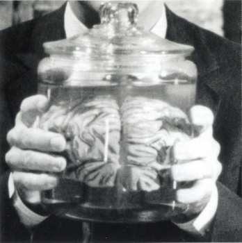 CD Ramones: Brain Drain