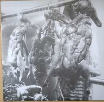 LP Ramones: Halfway To Sanity