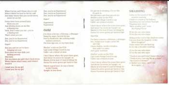 CD Ray Lamontagne: Supernova