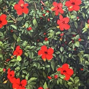 LP Real Live Tigers: Denatured