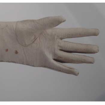 CD Sofie Vanden Eynde: Mistress Elizabeth Davenant, Her Songes