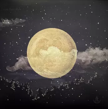 Reckless Kelly: Long Night Moon