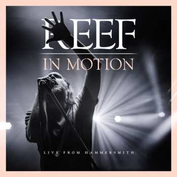 CD/Blu-ray Reef: In Motion Live From Hammersmith DIGI