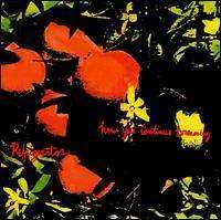 CD Refrigerator: How You Continue Dreaming